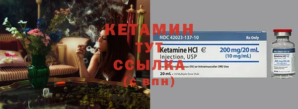 ГАЛЛЮЦИНОГЕННЫЕ ГРИБЫ Михайлов
