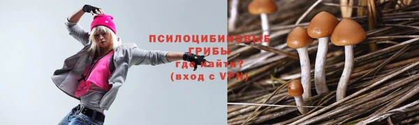 гашик Михайловск