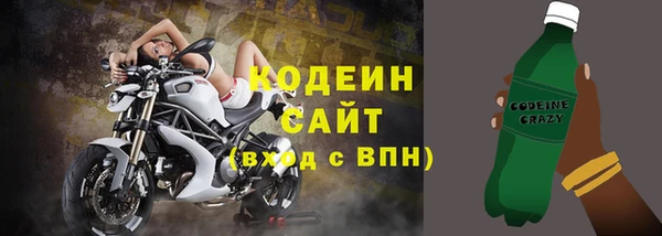 ГАЛЛЮЦИНОГЕННЫЕ ГРИБЫ Михайлов