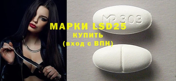 ГАЛЛЮЦИНОГЕННЫЕ ГРИБЫ Михайлов