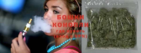 ГАЛЛЮЦИНОГЕННЫЕ ГРИБЫ Михайлов