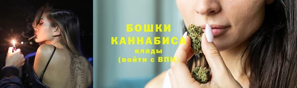 ГАЛЛЮЦИНОГЕННЫЕ ГРИБЫ Михайлов