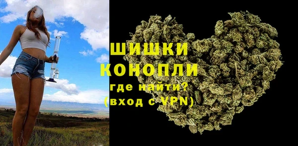 гашик Михайловск