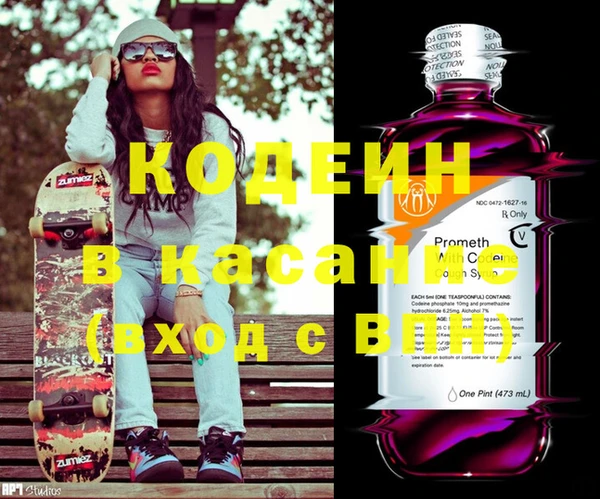 ГАЛЛЮЦИНОГЕННЫЕ ГРИБЫ Михайлов
