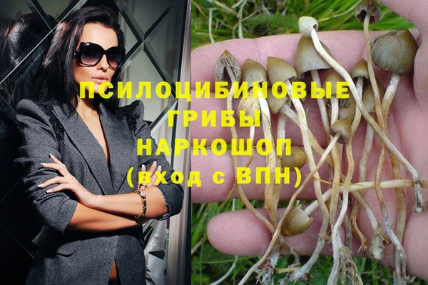 ГАЛЛЮЦИНОГЕННЫЕ ГРИБЫ Михайлов