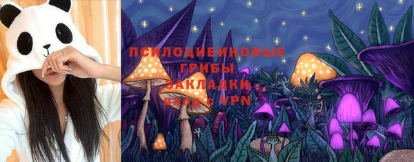 стафф Михайловка