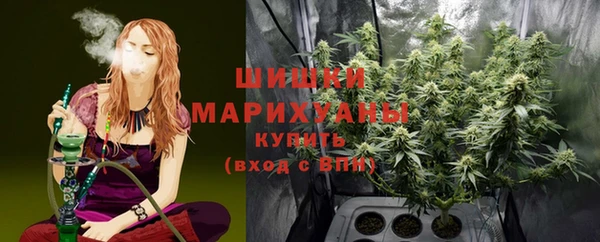 гашик Михайловск