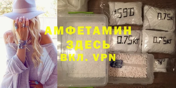 гашик Михайловск