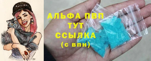 гашик Михайловск