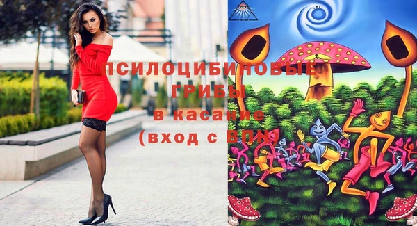 ГАЛЛЮЦИНОГЕННЫЕ ГРИБЫ Михайлов