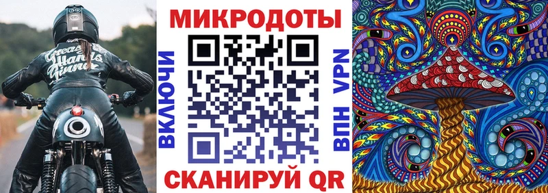 цена   Углич  Псилоцибиновые грибы Psilocybe 