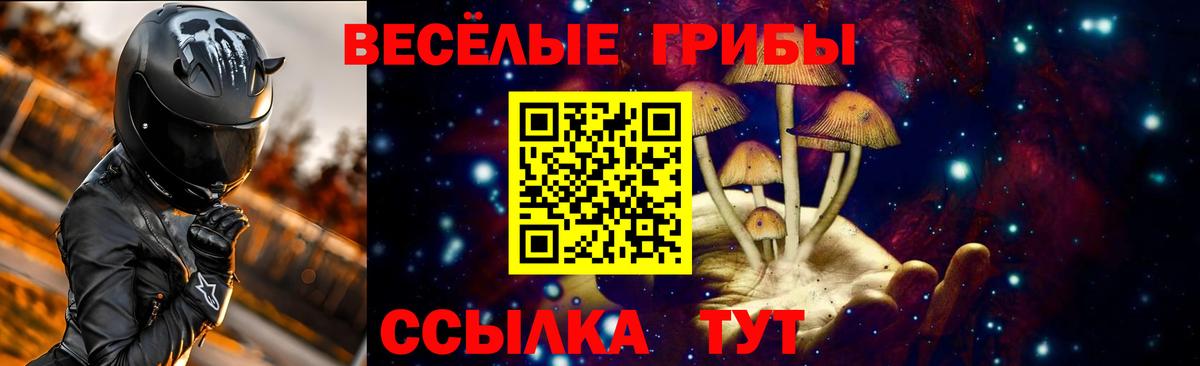 купить наркотик  Галлюциногенные грибы Psilocybe  Вход с VPN  Углич 